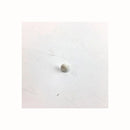 Perno di fissaggio per filtro asciugatrice Candy 40006911