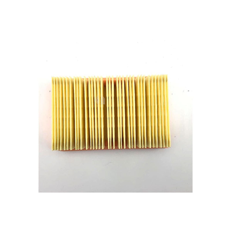 Filtro pieghettato piatto Karcher 28630050 per aspirapolvere