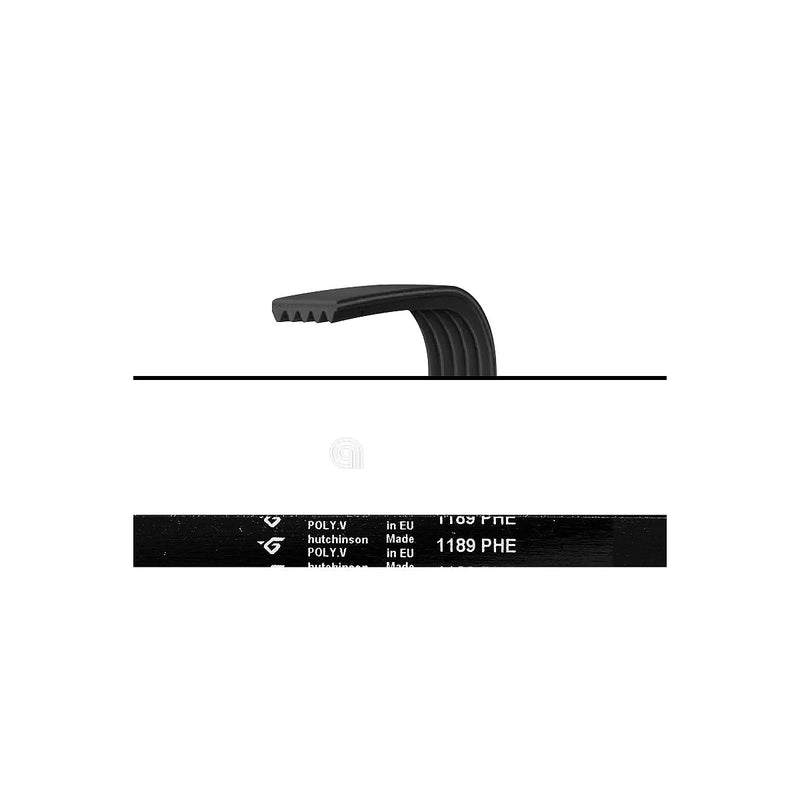 ELECTROLUX UNIVERSAL - Cinghia di trasmissione per lavatrice - AST-00126648