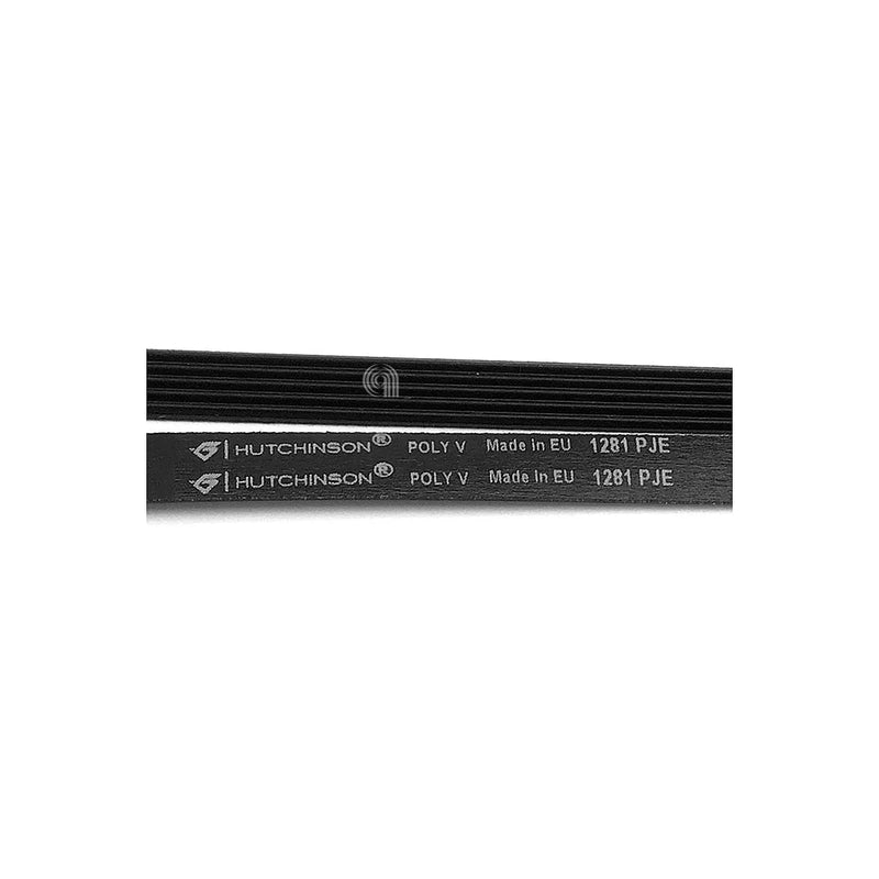 ELECTROLUX, MIDEA - Cinghia per lavatrice 1281 J5 EL - 4055123915