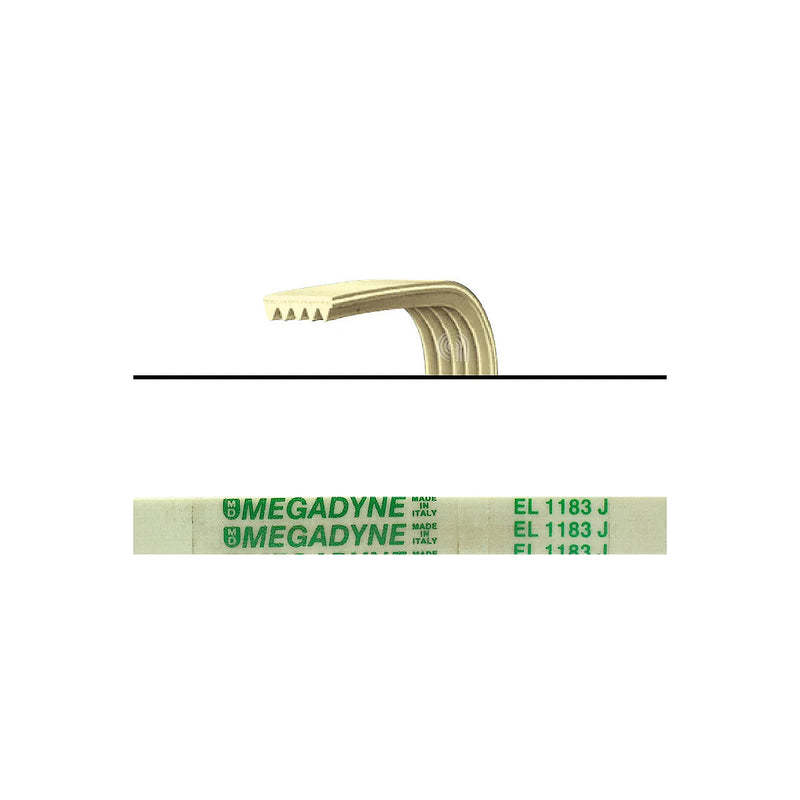 SILTAL BAUMATIC - Cinghia di trasmissione per lavatrice - 36984800