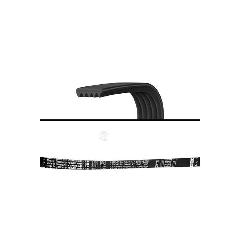 cintura poly-v j6 1236 per lavatrice Vestel e Bompani originale