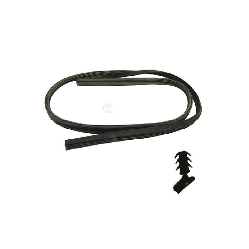 Guarnizione tamburo lavastoviglie Whirlpool originale C00055988