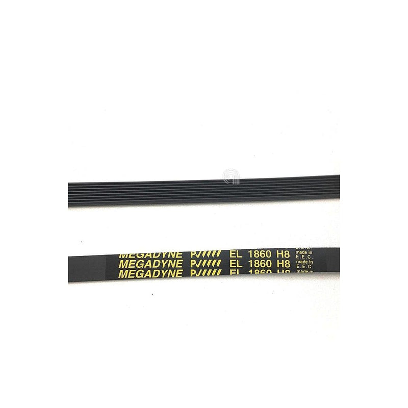cintura H8 1860 Poly-V per asciugatrice Candy originale