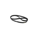Cinghia H8 1156 Poly-V originale per lavatrice Bosch e marchi affini