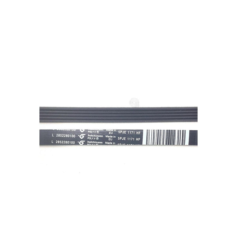 Cinghia Poly-V J5 1171 per lavatrice Smeg originale