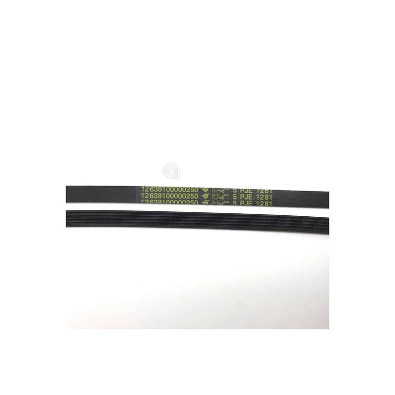Cinghia J5 1281 originale per lavatrice Electrolux e Zanussi