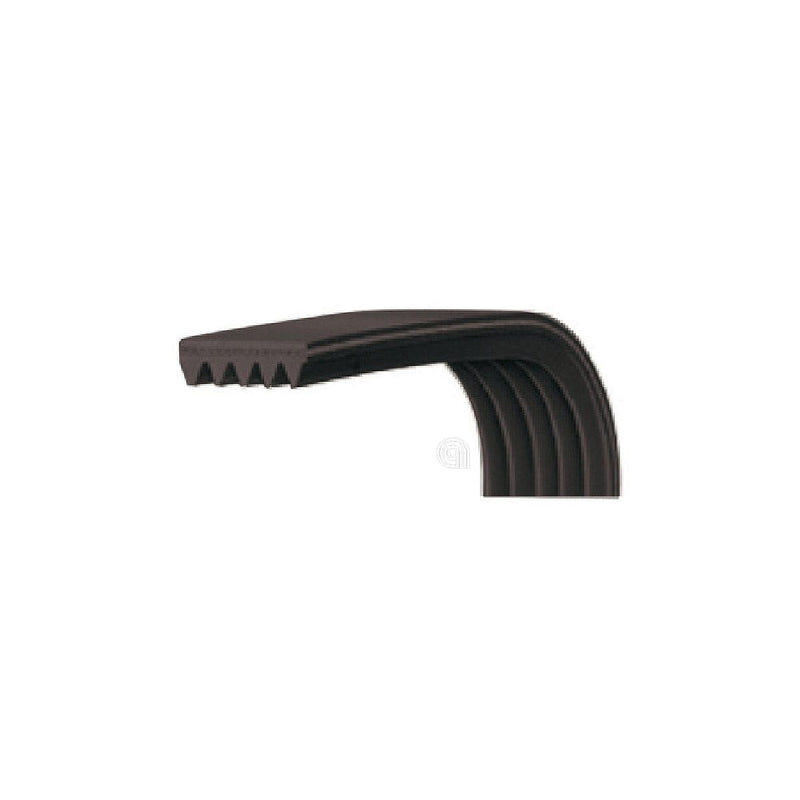 Cinghia J3 1242 Poly-V per lavatrice Beko originale 2834590100