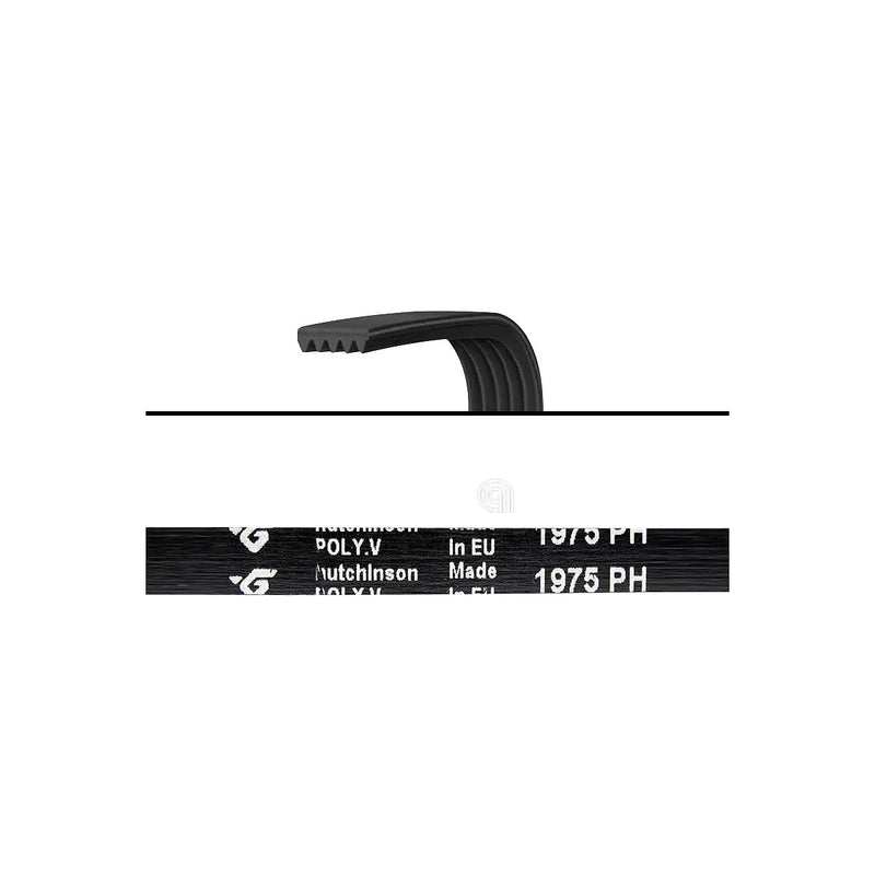ELECTROLUX - Cinghia di Trasmissione per Lavatrice e Asciugatrice - AST-00126257