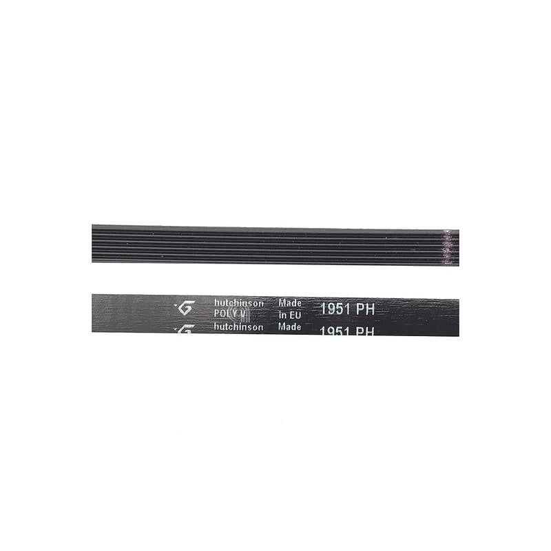 Cinghia H6 1951 Poly-V originale per asciugatrice Candy e altre marche
