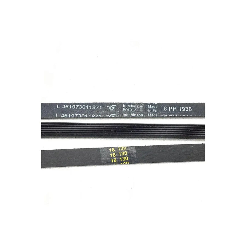 Cinghia H6 1936 Poly-V per asciugatrice Whirlpool originale