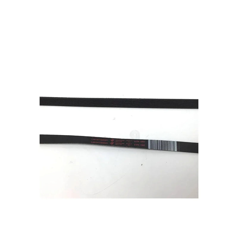 Cinghia asciugatrice H8 1965 originale Whirlpool e compatibili