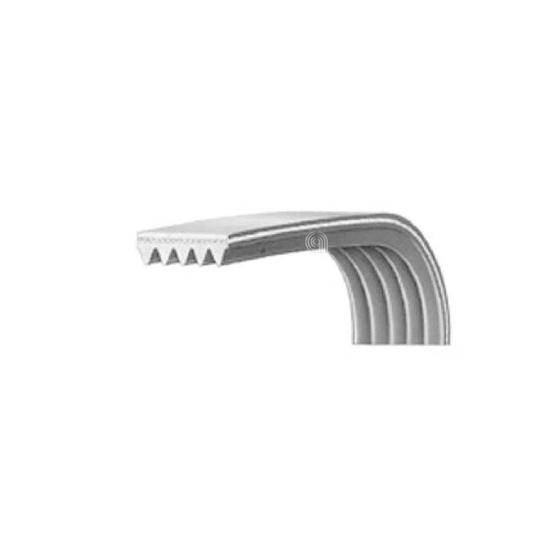 BEKO - Cinghia di Trasmissione Poly-V 1244 J5 Lavatrice - 2466300201