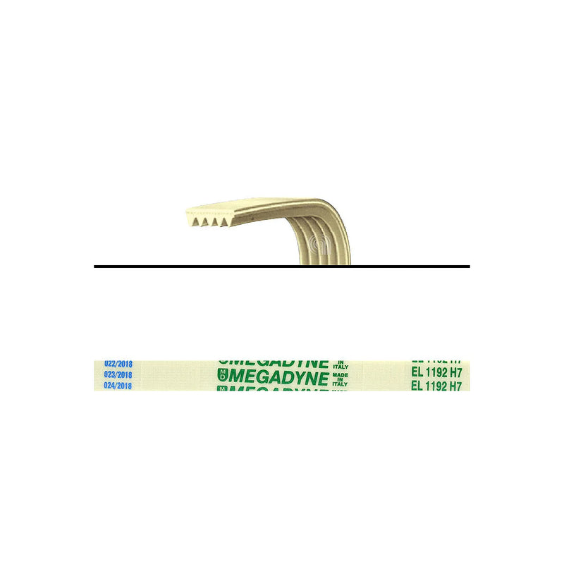 SILTAL ARISTON INDESIT MERLONI - Cinghia di trasmissione per lavatrice - C00063428