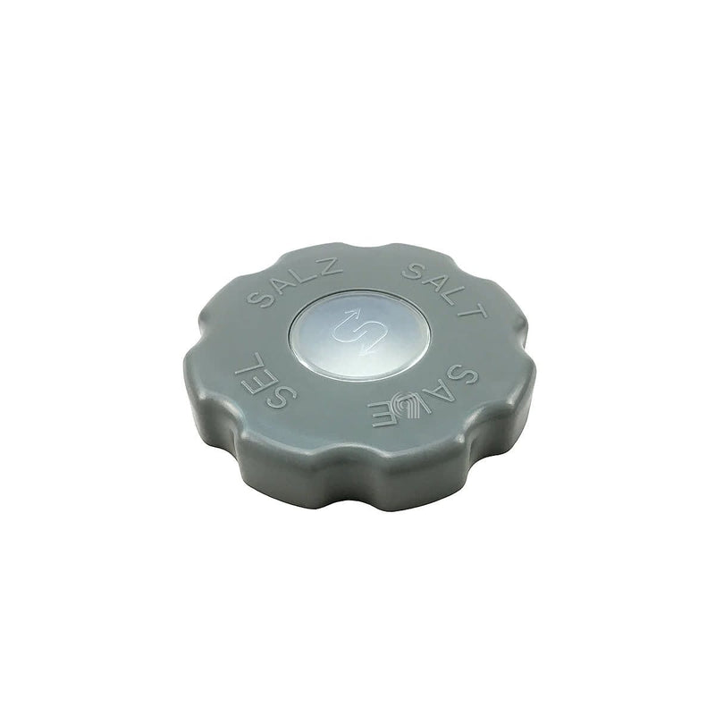 Tappo sale originale lavastoviglie Gorenje codice 413642