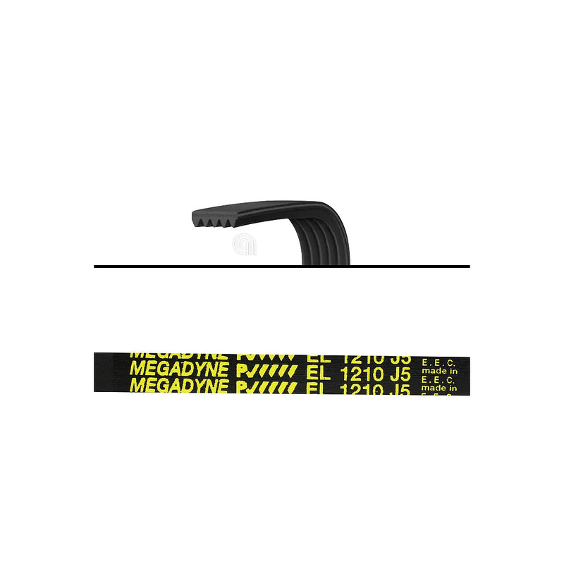CANDY, OTSEIN - Cinghia di trasmissione elastica per lavatrice - 80001704