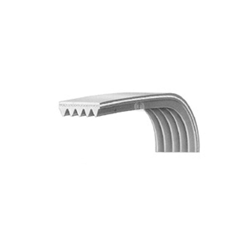 Cinghia poly-v 1930h7 per asciugatrice Candy originale