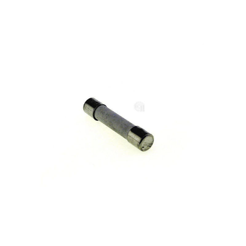 UNIVERSALE - Fusibile per Forno a Microonde - 6x32mm 12A