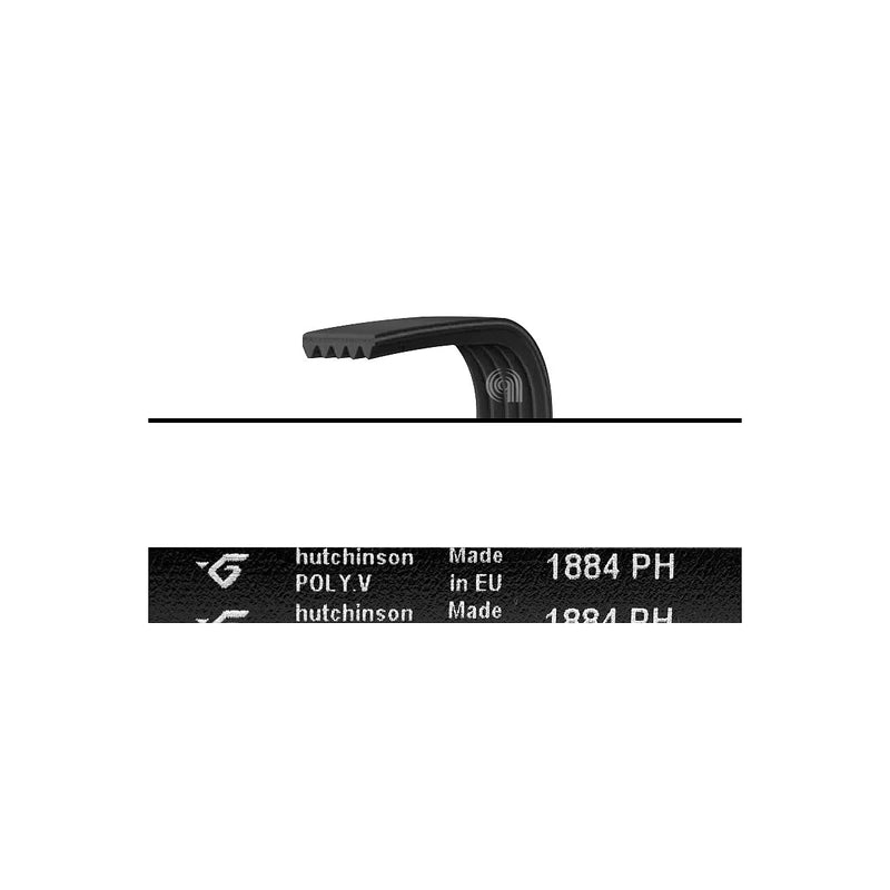 ELECTROLUX, AEG, ZANUSSI - Cinghia Poly-V 1884 H5 Asciugatrice - 1255028100