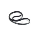 Cinghia Poly-V J5 1234 per lavatrice Vestel originale