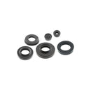 ELECTROLUX AEG ELEKTRO HELIOS ROSENLEW - Guarnizione Lavatrice - 8996454305393