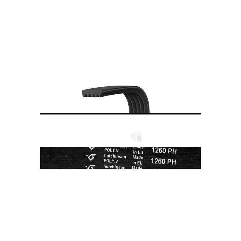 AEG, Zanussi, Electrolux - Cinghia Poly-V Lavatrice - AST-00126329
