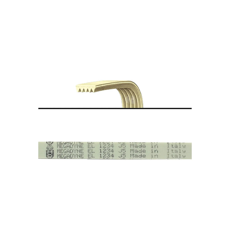 CANDY - Cinghia elastica J5 1234 per Lavatrice - AST-00126440