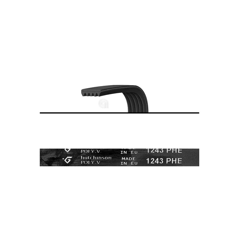 WHIRLPOOL - Cinghia di Trasmissione Lavatrice 1243 H7 - C00319414