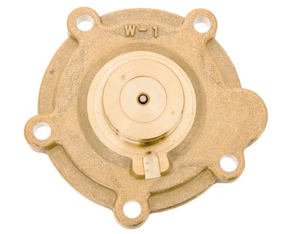 FAGOR corpo riscaldatore d'acqua | 810007165
