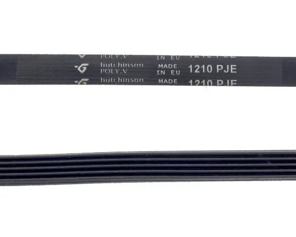 CINGHIA lavatrice scanalata 1210 j-5 | 80001704