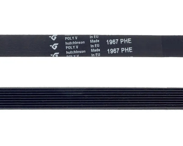 BEKO cinghia lavatrice scanalata 1967 9PHE | 8435576613057