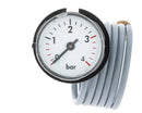 CHAFFOTEAUX manometro caldaia | 60001907