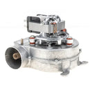 Ventilador caldera para caldera Immergas EOLO Star 1.018745