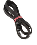 Cinghia lavatrice Samsung 6602-003939